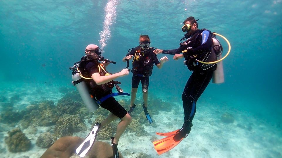 Diving & Snorkeling Cruise Tour w Lunch & Drinks.6