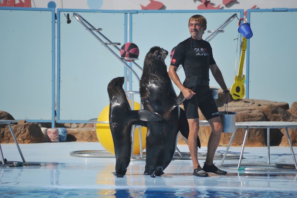 Dolphin World Show with Walruses and Pickup.3