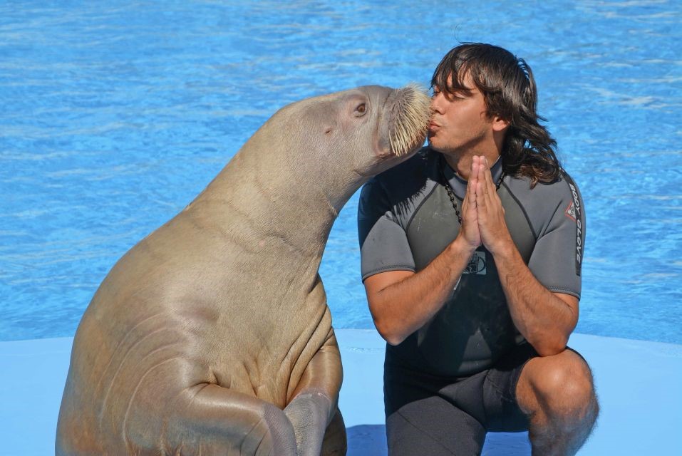 Dolphin World Show with Walruses and Pickup.5