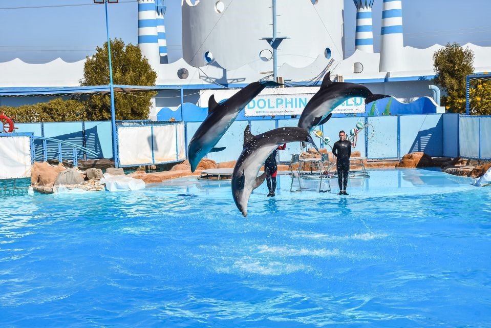 Dolphin World Show with Walruses and Pickup.6