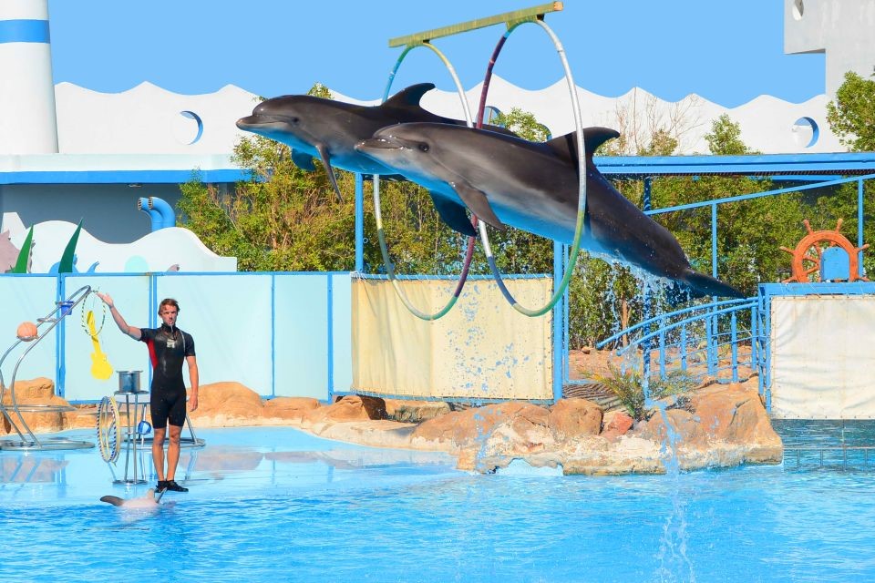 Dolphin World Show with Walruses and Pickup.7