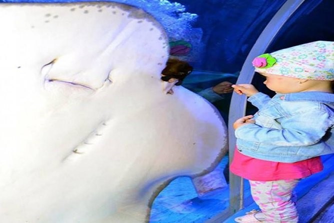 Hurghada Grand Aquarium Museum With Transfer .5